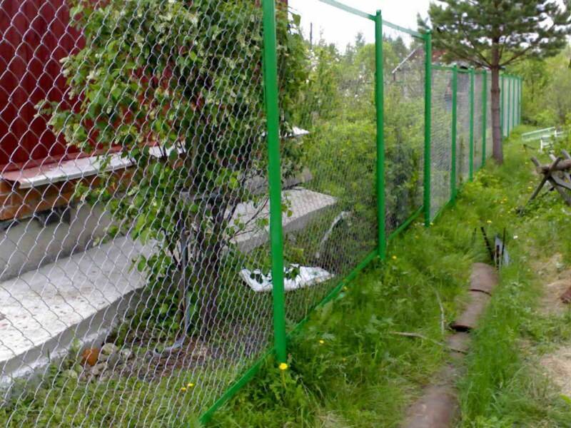 Металлический забор рабица для дачи зеленый