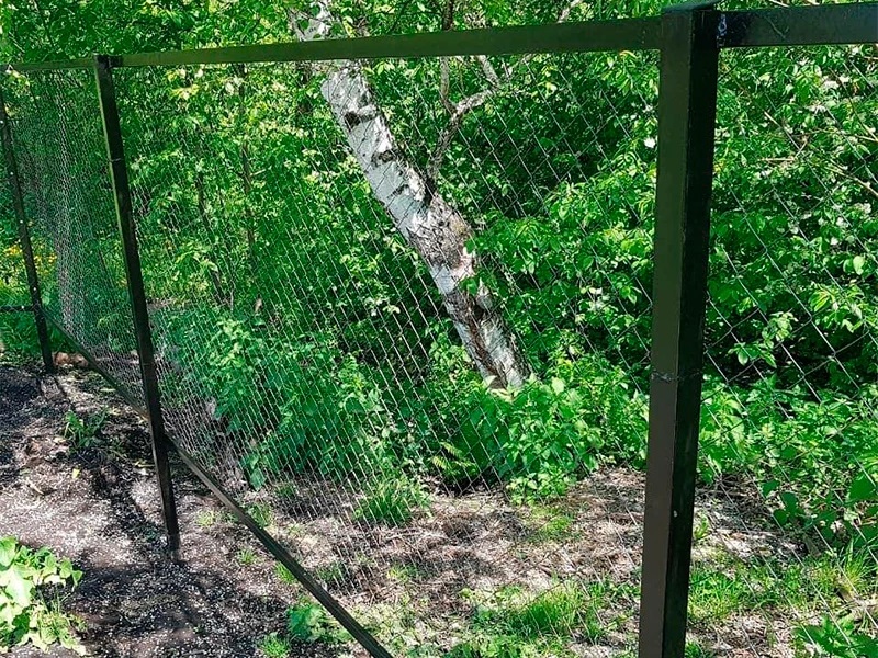 Забор из сетки рабицы зеленый